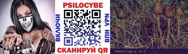 наркотики  Фёдоровский  Псилоцибиновые грибы Magic Shrooms 